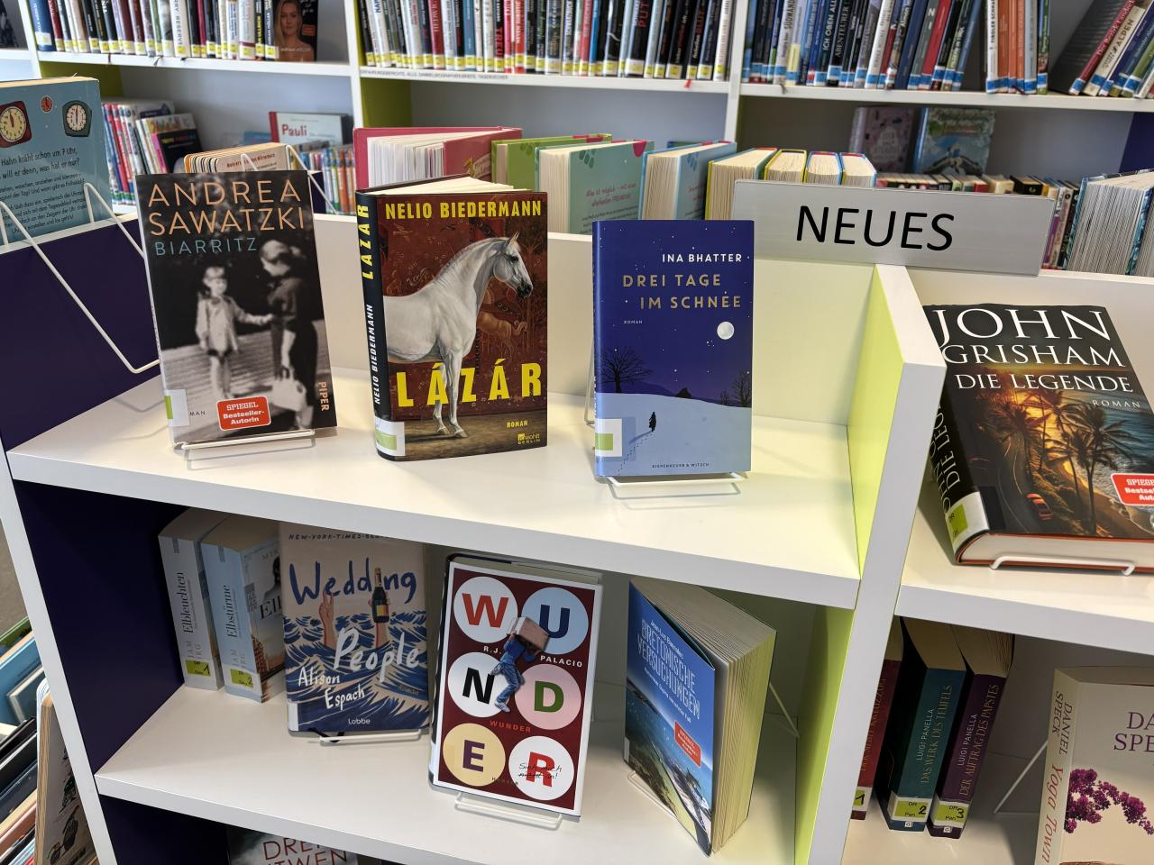 Aktuelle Literatur auf einem Regal präsentiert.